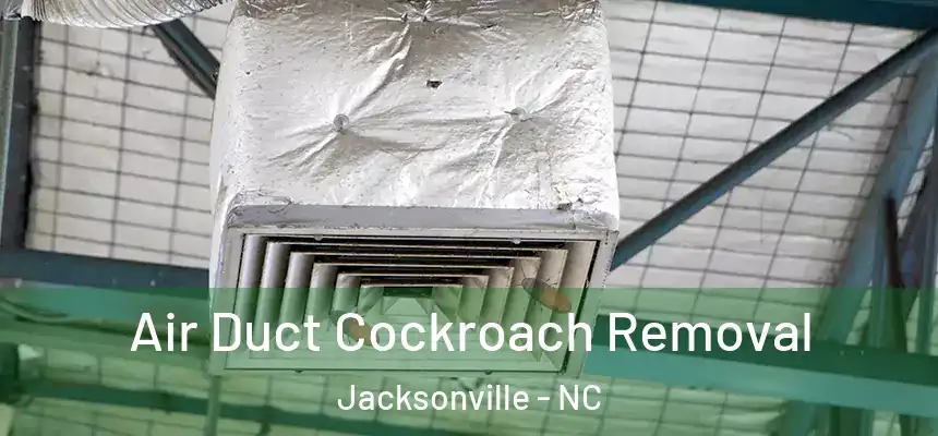 Air Duct Cockroach Removal Jacksonville - NC