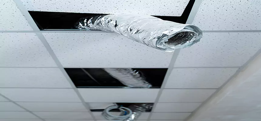 Our Air Duct Pet Hair Removal Services in Jacksonville, NC