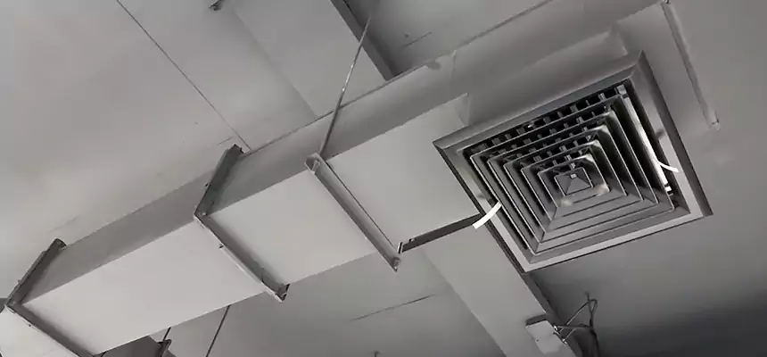 Our Rodent Droppings In Vents Services in Jacksonville, NC