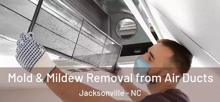 Mold & Mildew Removal from Air Ducts Jacksonville - NC