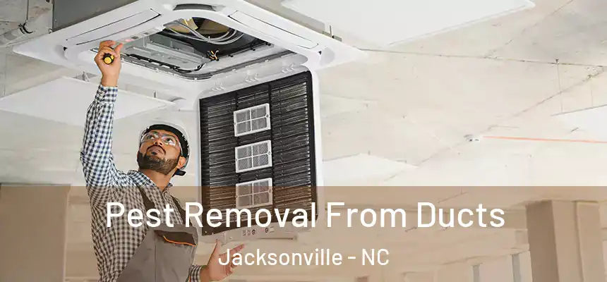 Pest Removal From Ducts Jacksonville - NC
