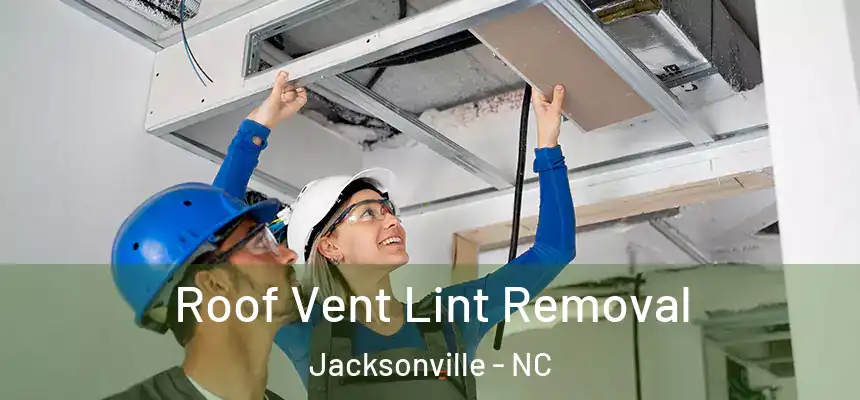Roof Vent Lint Removal Jacksonville - NC