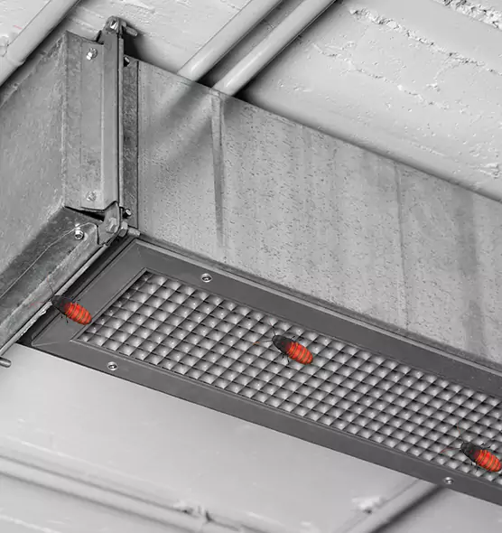 Affordable Insect Removal from Air Ducts in Jacksonville, NC