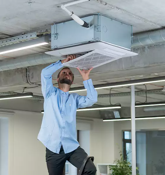 Advanced Rodent Droppings In Vents in Jacksonville, NC