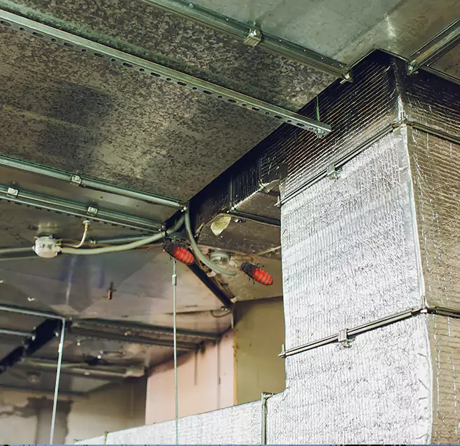 Why Homeowners & Businesses Trust Us in Jacksonville, NC?