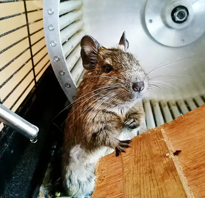 Why Homeowners & Businesses Trust Us Jacksonville, NC?