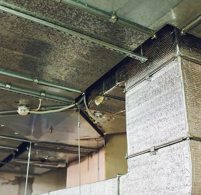 Why Homeowners & Businesses Trust Us in Jacksonville, NC?