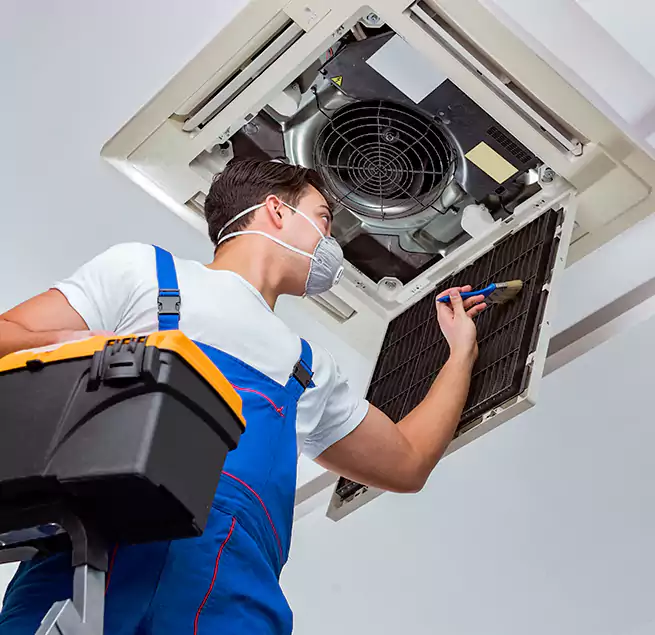 Why Homeowners & Businesses Trust Us in Jacksonville, NC?